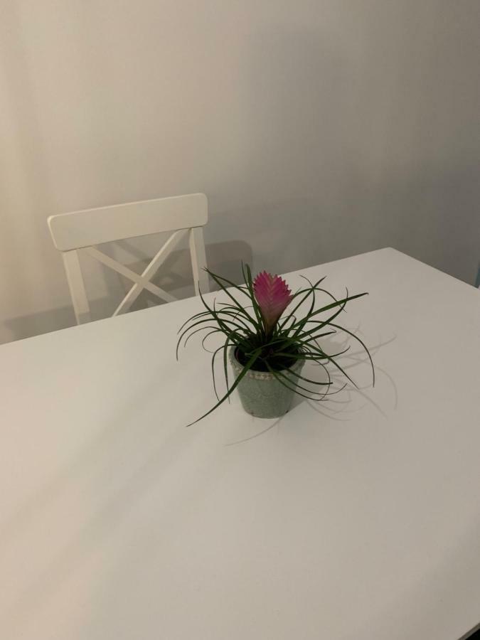 Garsoniera De La Mare Appartement Năvodari Buitenkant foto